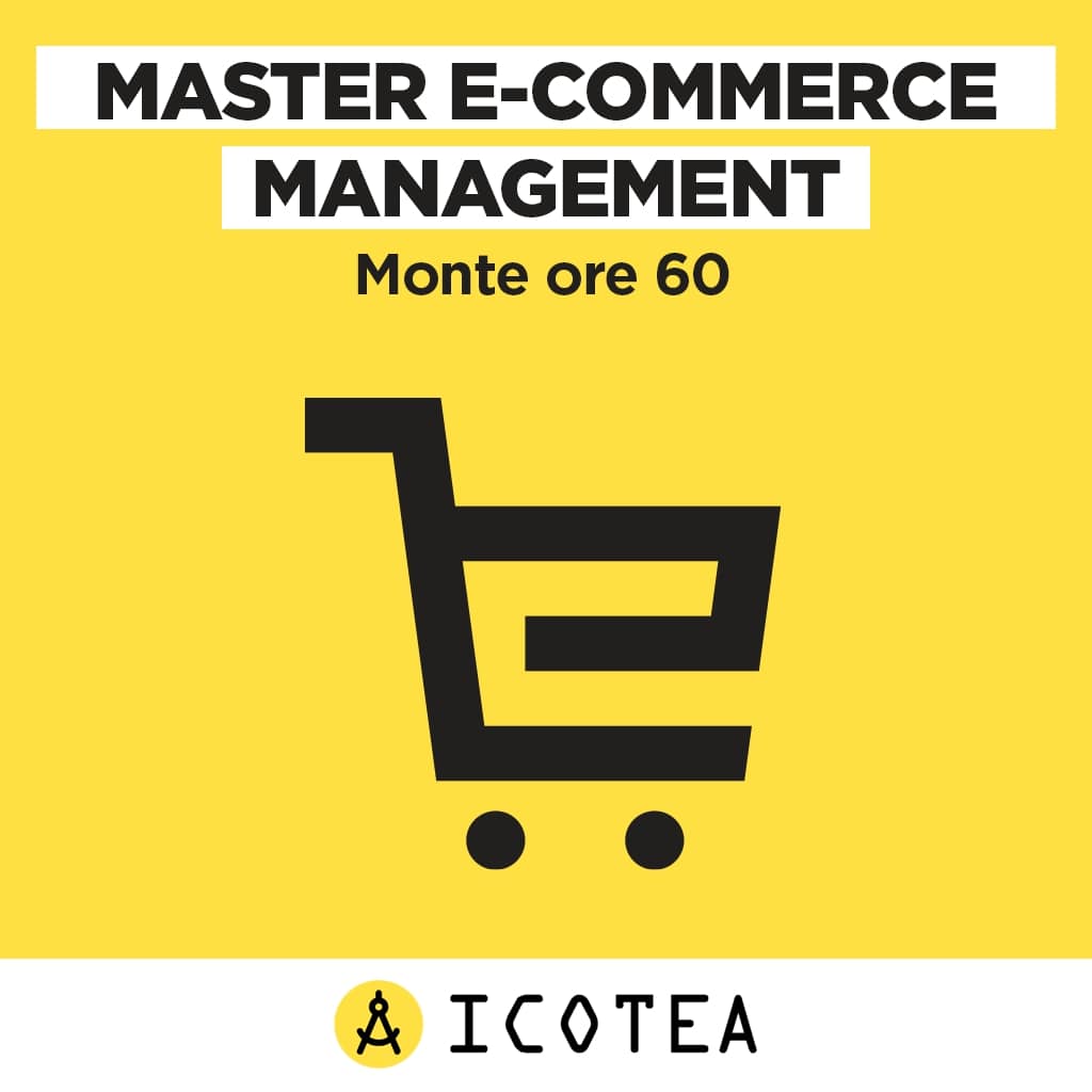 Master management online 60 ore ICOTEA