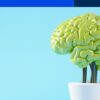Psicobiologia e Psicologia Fisiologica (M-PSI/02) - CFU 3