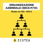 Organizzazione Aziendale (SECS-P10) Monte ore 150 - CFU 6