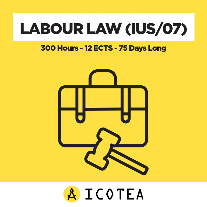 Labour Law (IUS07) - 300 Hours - 12 ECTS - 75 Days Long