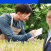 Corso Aggiornamento RSPP per Datore di Lavoro modulo 1 Agricoltura monte ore 8
